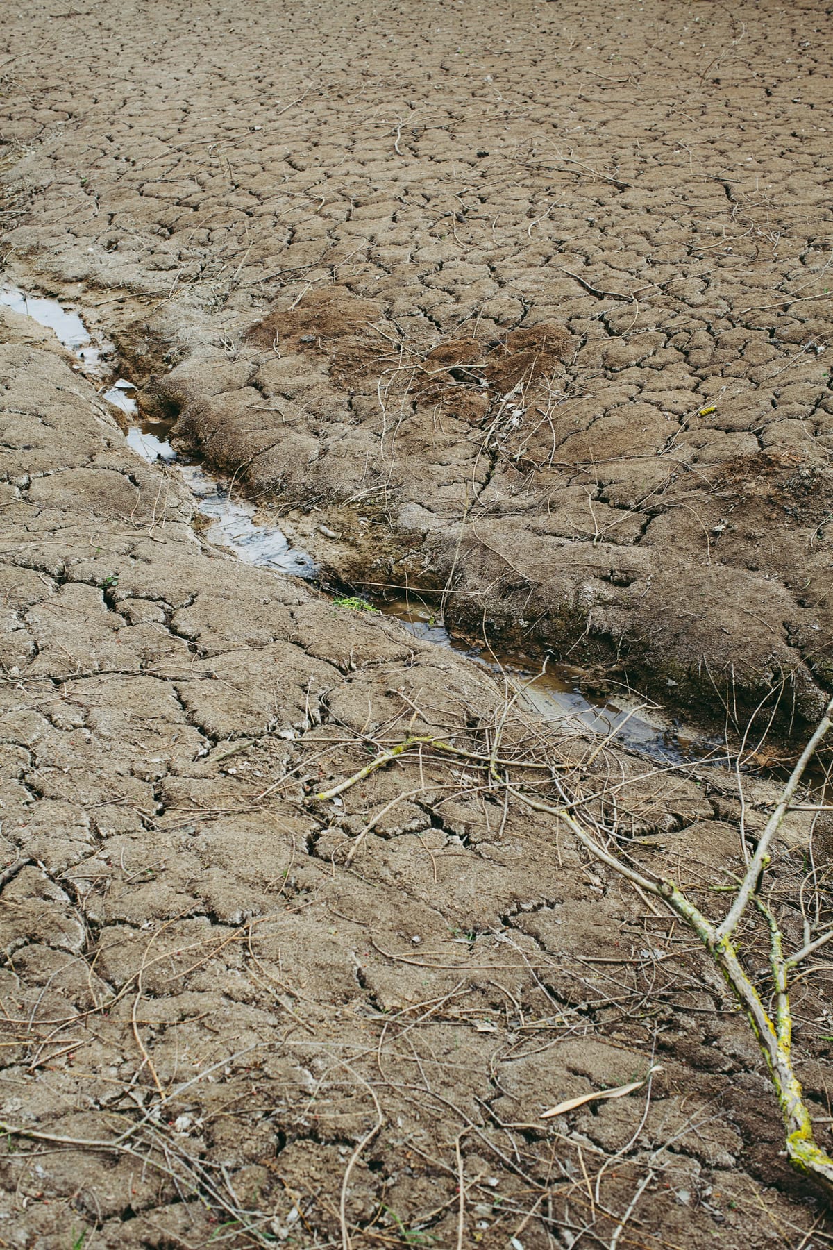 Renforcement des restrictions des usages de l'eau en Moselle ouest